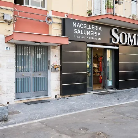 Apartment Roomy And Bright With Balconies X6 *